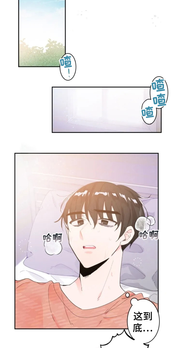 《等待夜晚》漫画最新章节第2章：摆布免费下拉式在线观看章节第【9】张图片