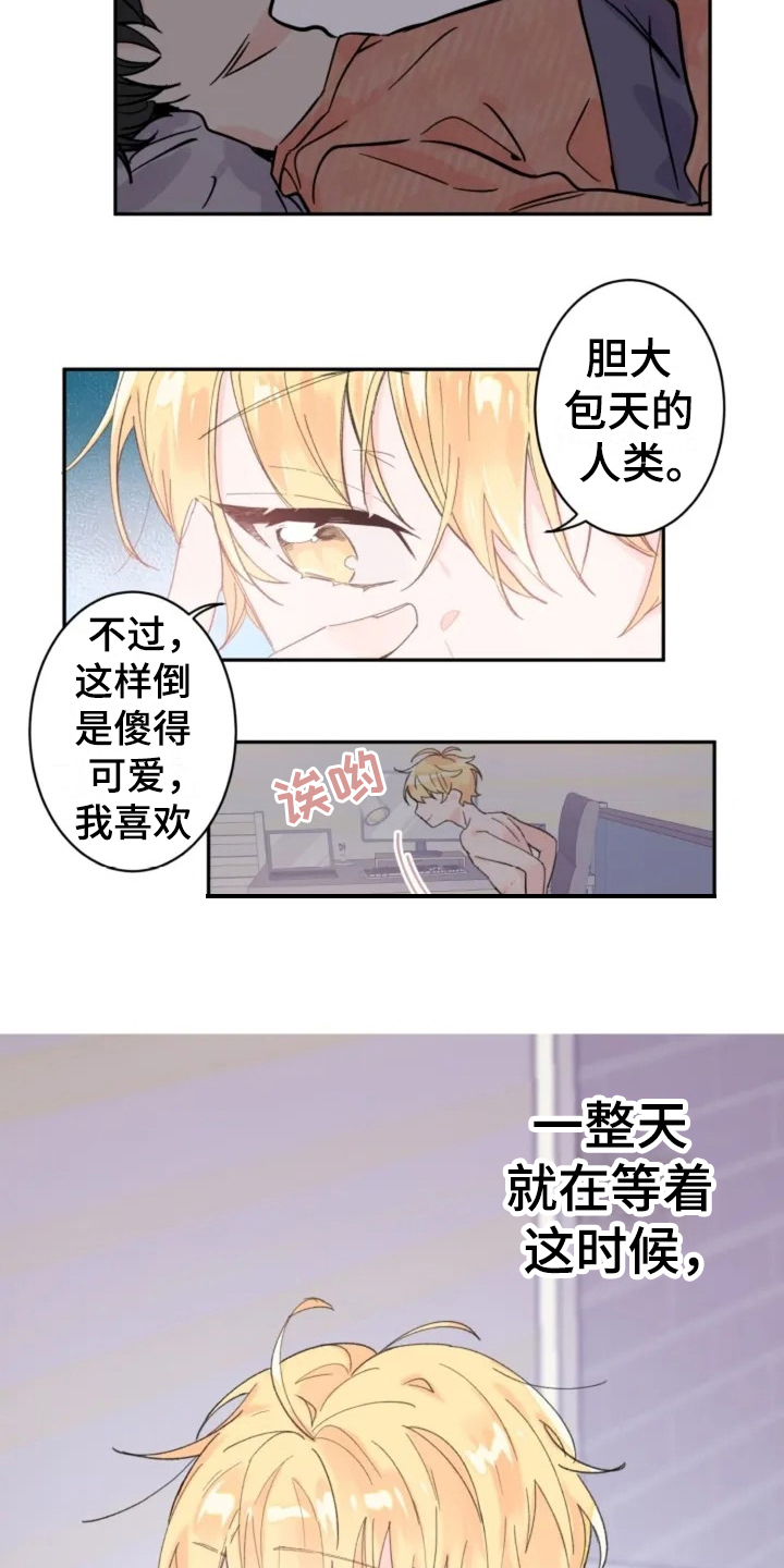 《等待夜晚》漫画最新章节第3章：礼物免费下拉式在线观看章节第【9】张图片