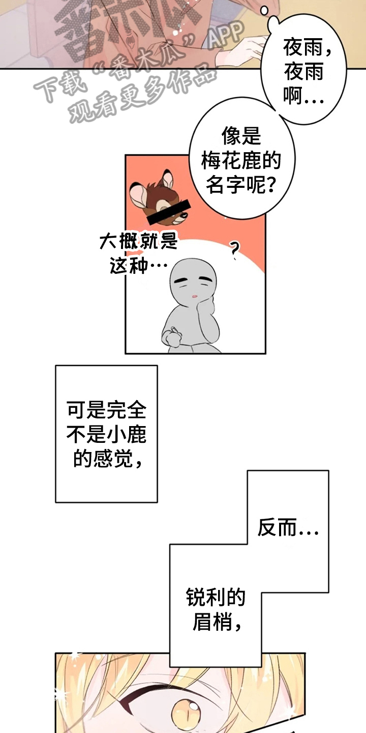 《等待夜晚》漫画最新章节第5章：想念免费下拉式在线观看章节第【5】张图片