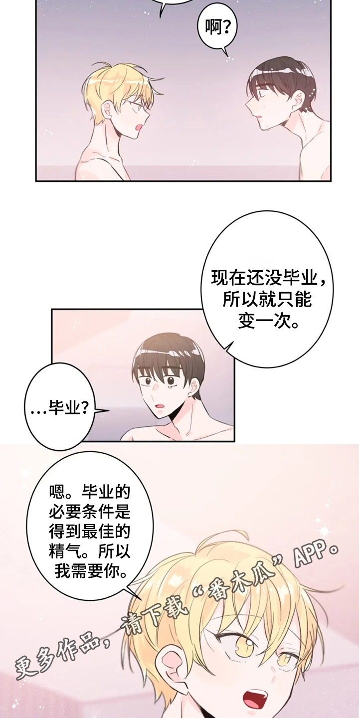 《等待夜晚》漫画最新章节第9章：解释免费下拉式在线观看章节第【2】张图片