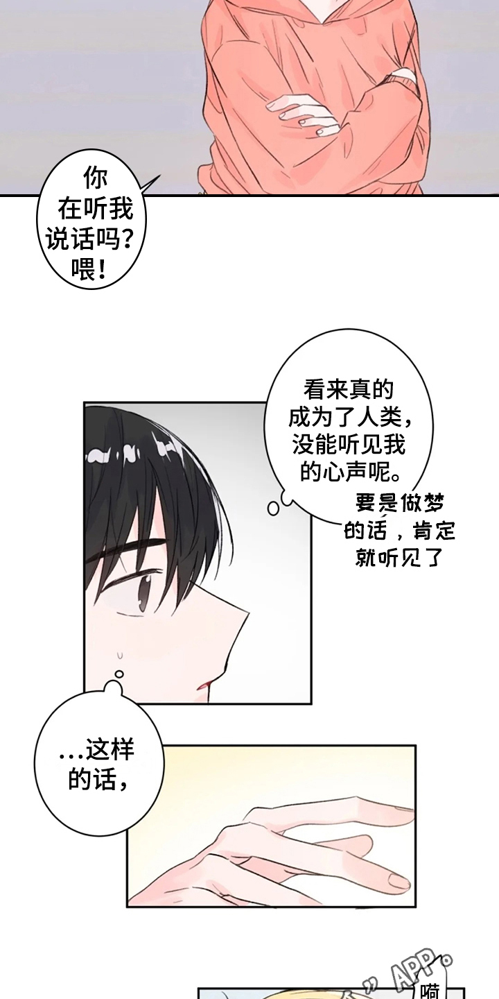 《等待夜晚》漫画最新章节第10章：惊讶免费下拉式在线观看章节第【2】张图片