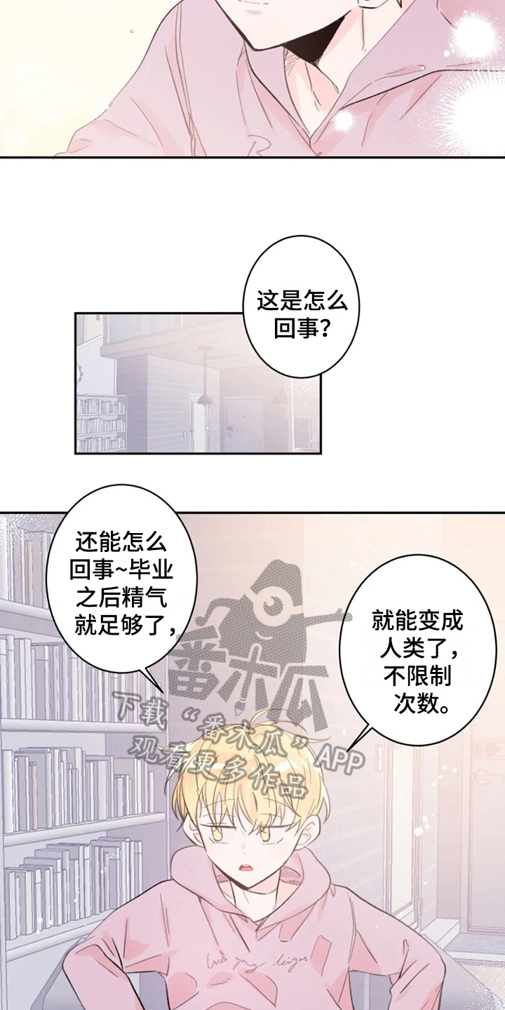 《等待夜晚》漫画最新章节第14章：回来了免费下拉式在线观看章节第【5】张图片