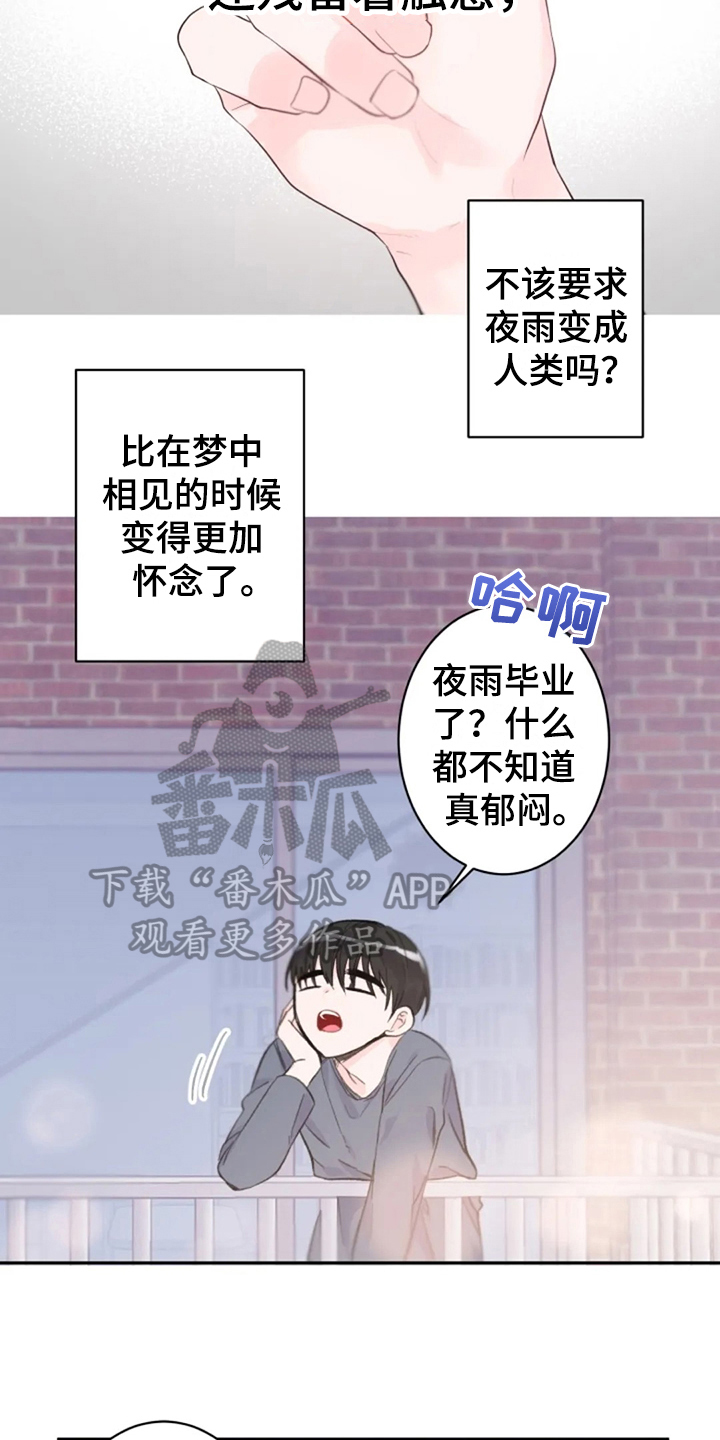 《等待夜晚》漫画最新章节第14章：回来了免费下拉式在线观看章节第【11】张图片