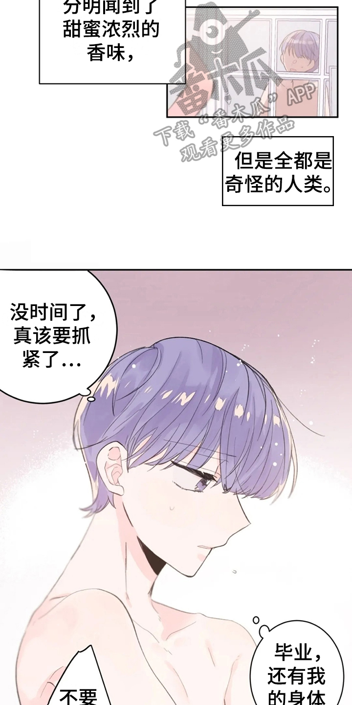 《等待夜晚》漫画最新章节第17章：猎物免费下拉式在线观看章节第【7】张图片