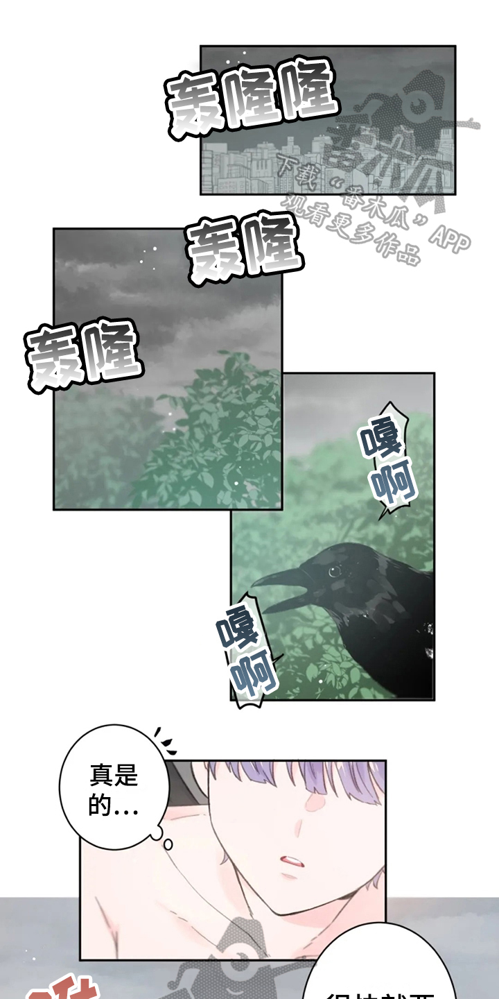 《等待夜晚》漫画最新章节第17章：猎物免费下拉式在线观看章节第【11】张图片