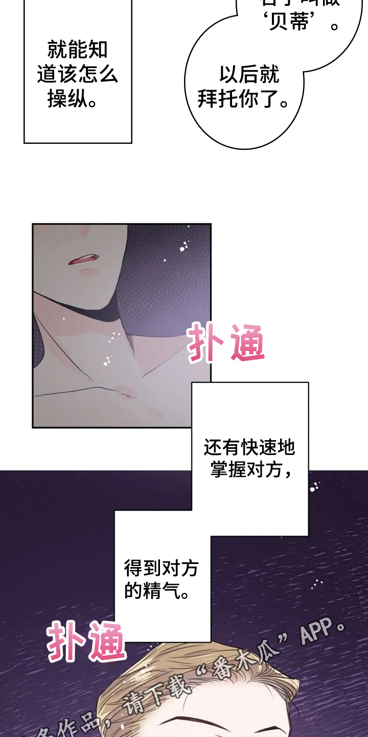 《等待夜晚》漫画最新章节第20章：名字免费下拉式在线观看章节第【2】张图片