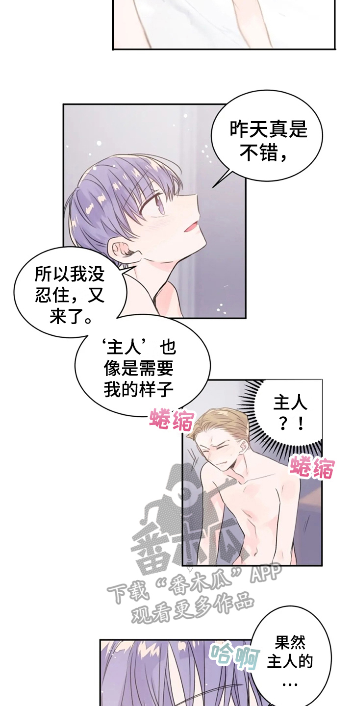 《等待夜晚》漫画最新章节第20章：名字免费下拉式在线观看章节第【5】张图片