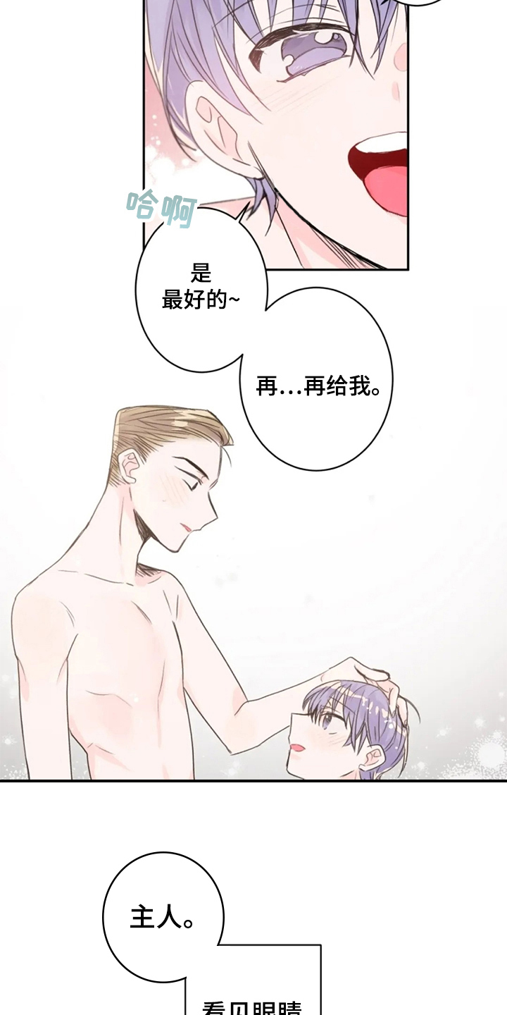 《等待夜晚》漫画最新章节第20章：名字免费下拉式在线观看章节第【4】张图片