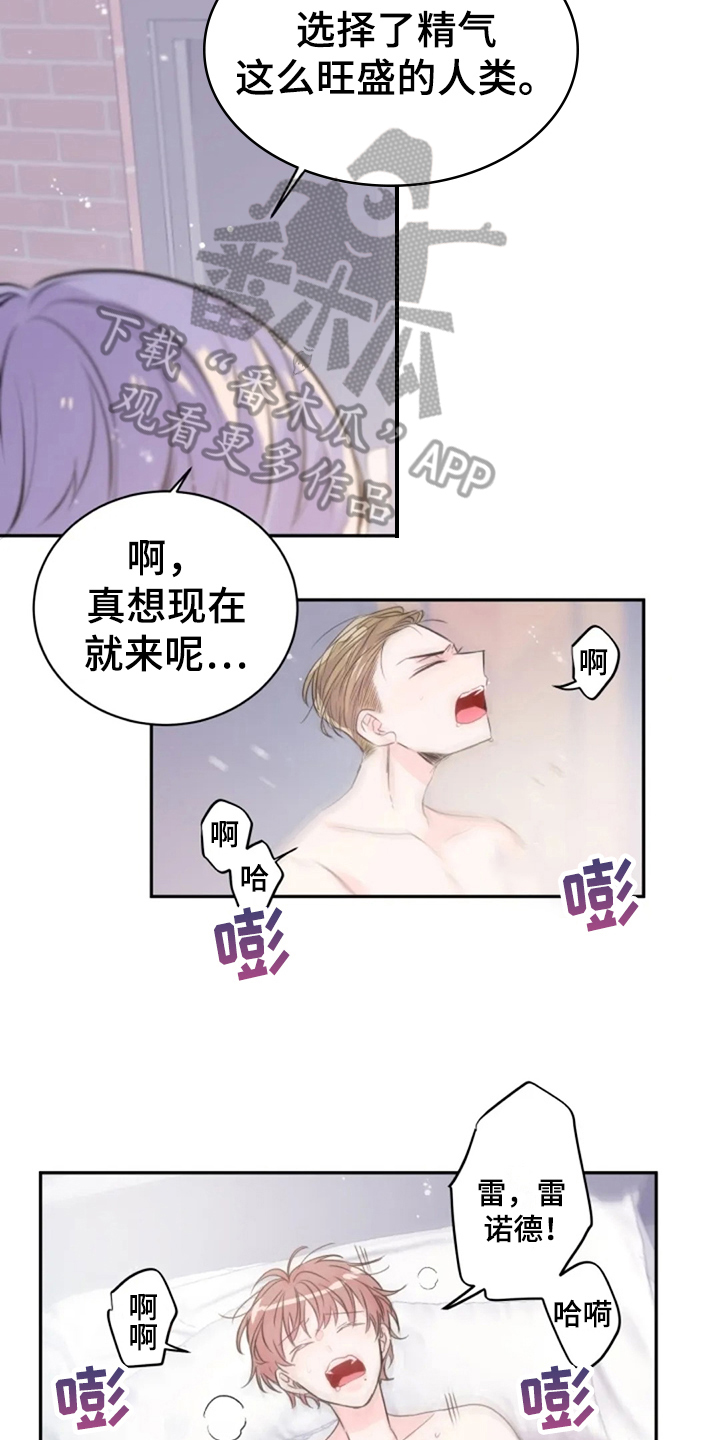 《等待夜晚》漫画最新章节第20章：名字免费下拉式在线观看章节第【8】张图片