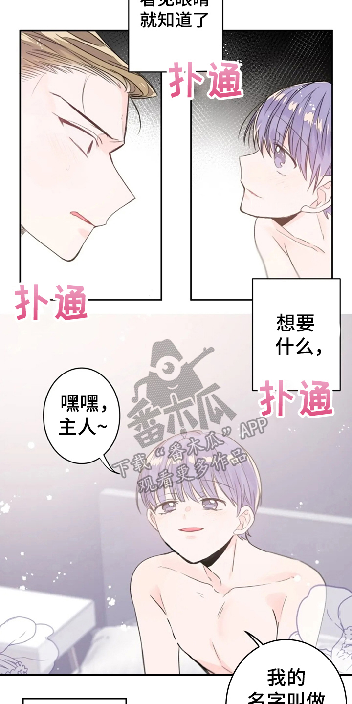 《等待夜晚》漫画最新章节第20章：名字免费下拉式在线观看章节第【3】张图片