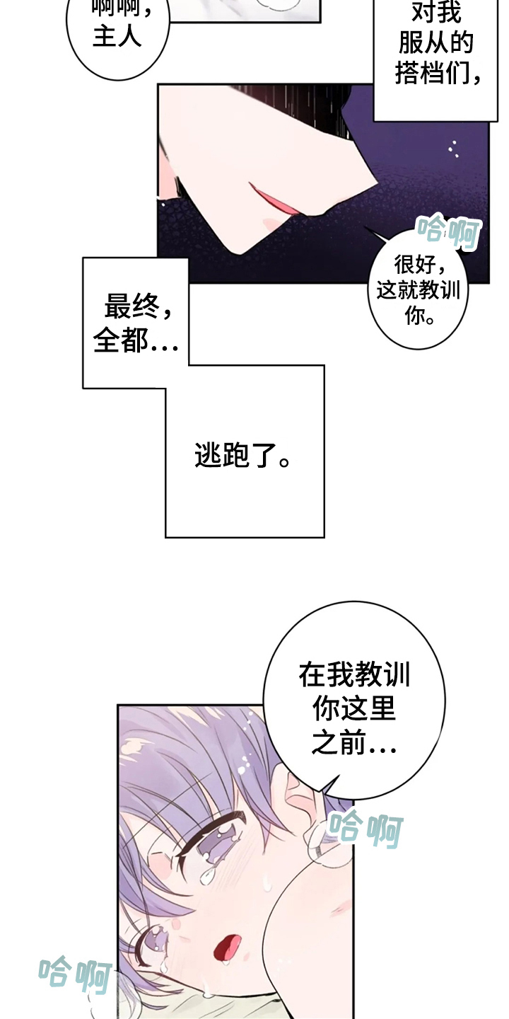 《等待夜晚》漫画最新章节第21章：顺从免费下拉式在线观看章节第【8】张图片