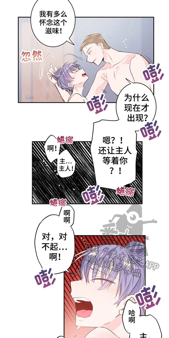 《等待夜晚》漫画最新章节第21章：顺从免费下拉式在线观看章节第【3】张图片