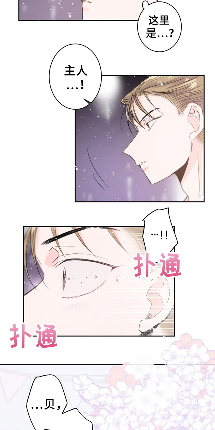 《等待夜晚》漫画最新章节第22章：寻找免费下拉式在线观看章节第【2】张图片