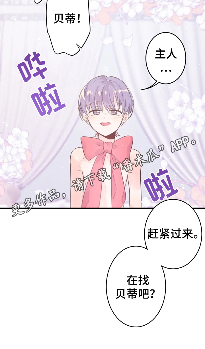 《等待夜晚》漫画最新章节第22章：寻找免费下拉式在线观看章节第【1】张图片