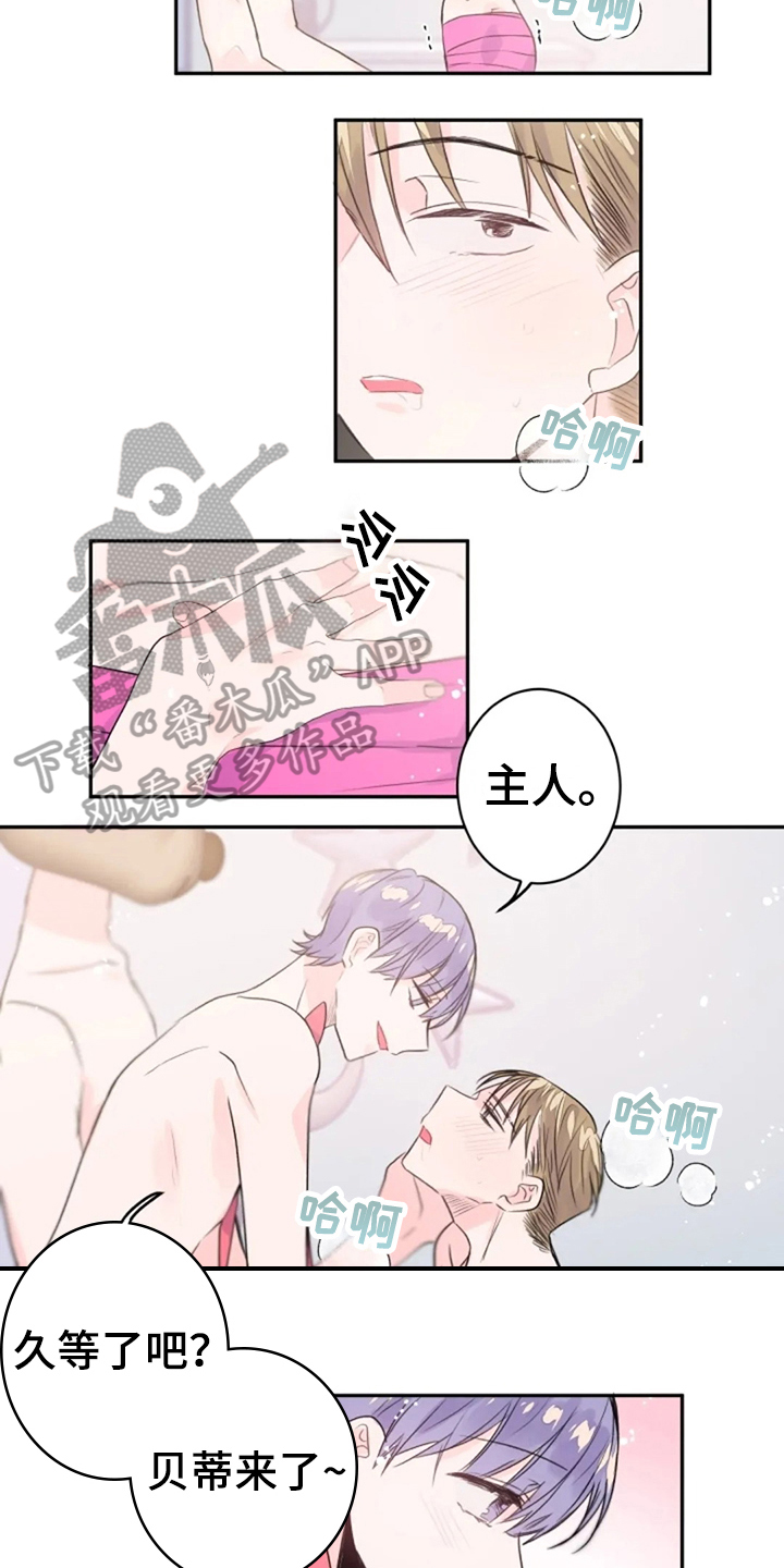 《等待夜晚》漫画最新章节第25章：期待免费下拉式在线观看章节第【6】张图片