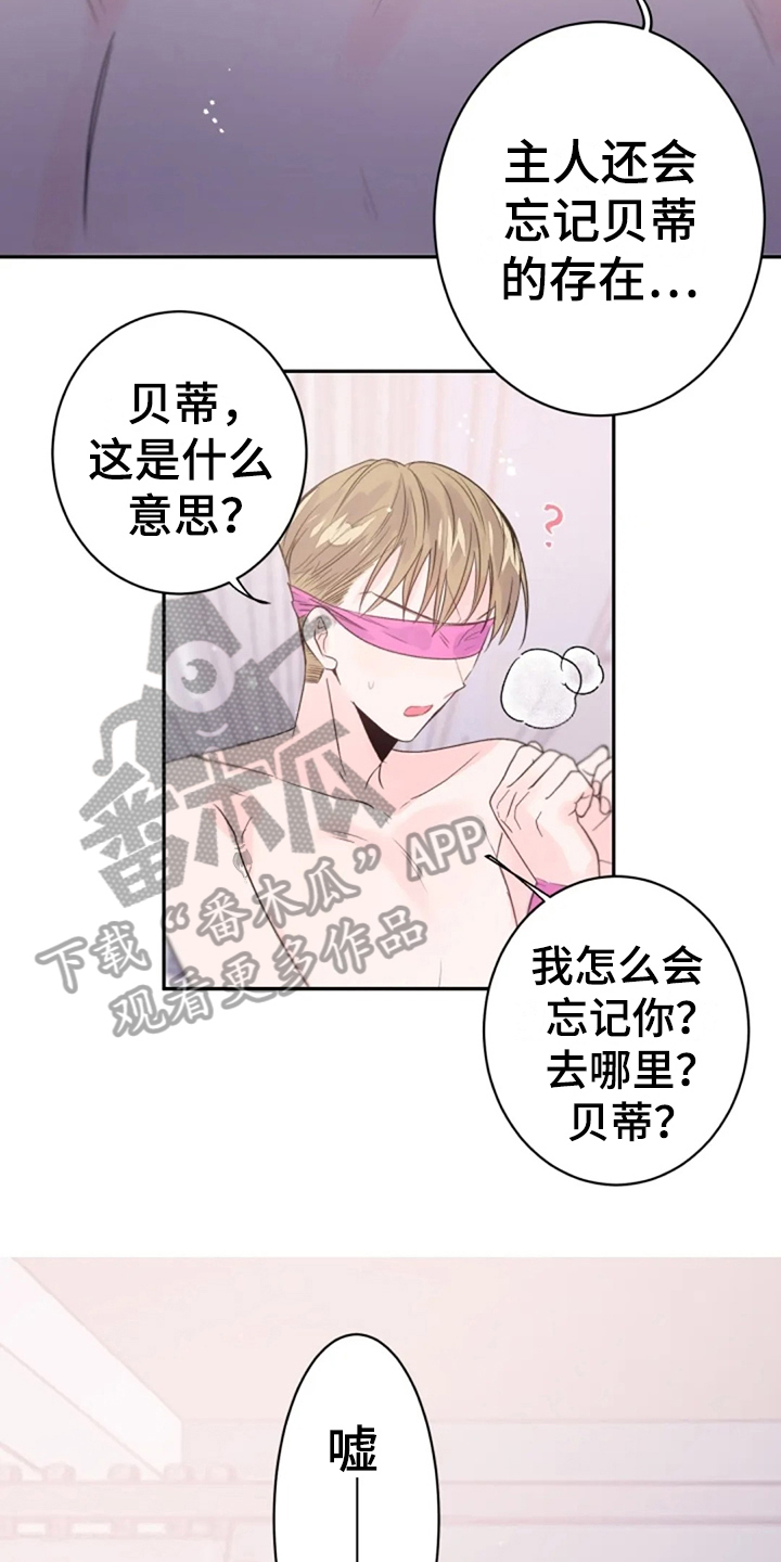 《等待夜晚》漫画最新章节第27章：集中免费下拉式在线观看章节第【4】张图片