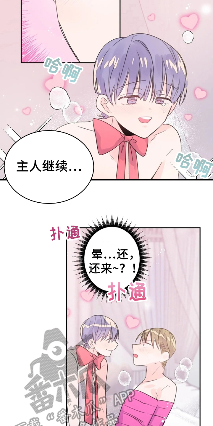 《等待夜晚》漫画最新章节第27章：集中免费下拉式在线观看章节第【11】张图片