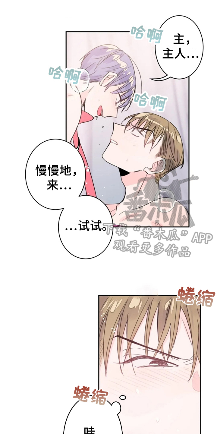 《等待夜晚》漫画最新章节第27章：集中免费下拉式在线观看章节第【14】张图片