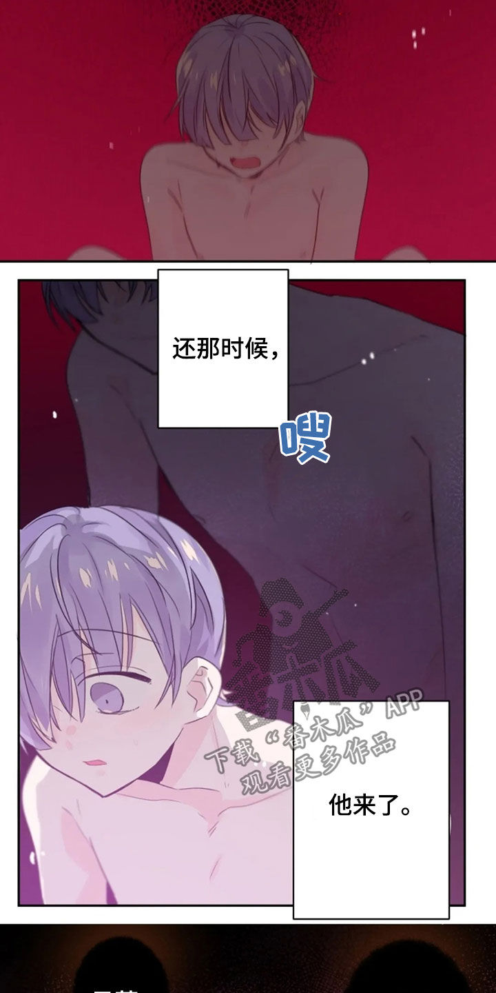 《等待夜晚》漫画最新章节第30章：履行协约免费下拉式在线观看章节第【6】张图片