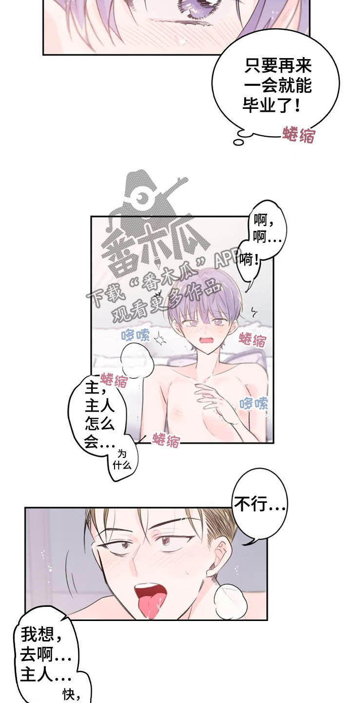 《等待夜晚》漫画最新章节第33章：领悟免费下拉式在线观看章节第【2】张图片