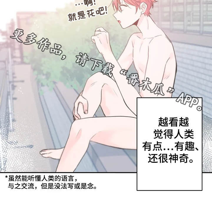 《等待夜晚》漫画最新章节第35章：一定要毕业免费下拉式在线观看章节第【1】张图片