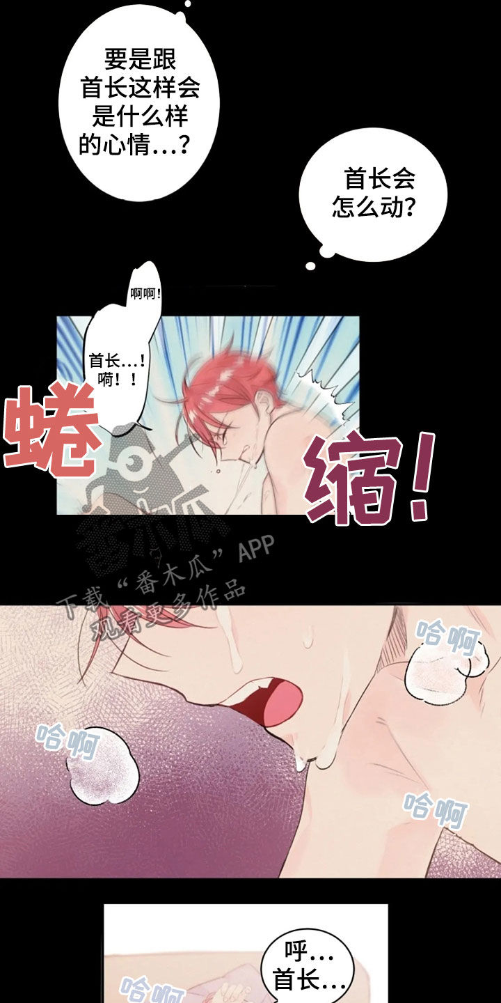 《等待夜晚》漫画最新章节第36章：长得像的人免费下拉式在线观看章节第【4】张图片