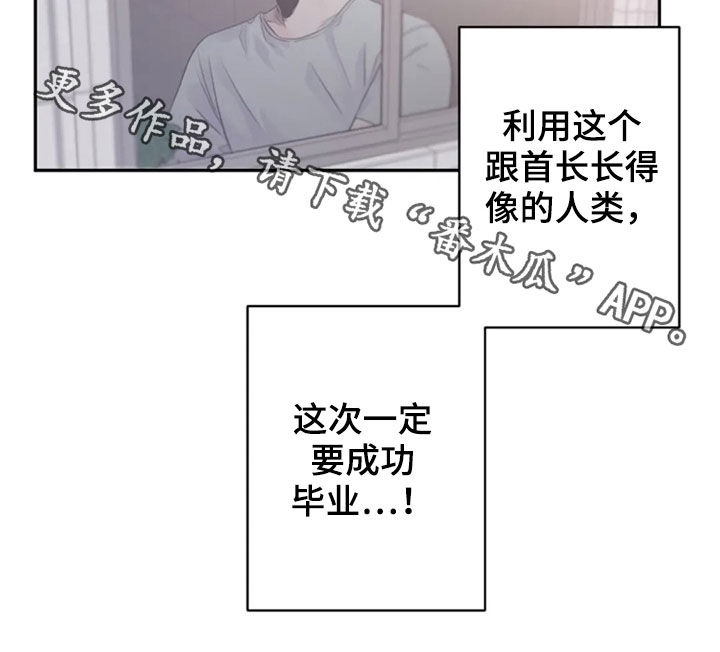 《等待夜晚》漫画最新章节第36章：长得像的人免费下拉式在线观看章节第【1】张图片