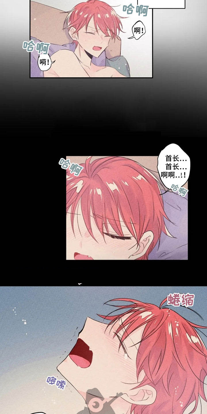 《等待夜晚》漫画最新章节第36章：长得像的人免费下拉式在线观看章节第【6】张图片