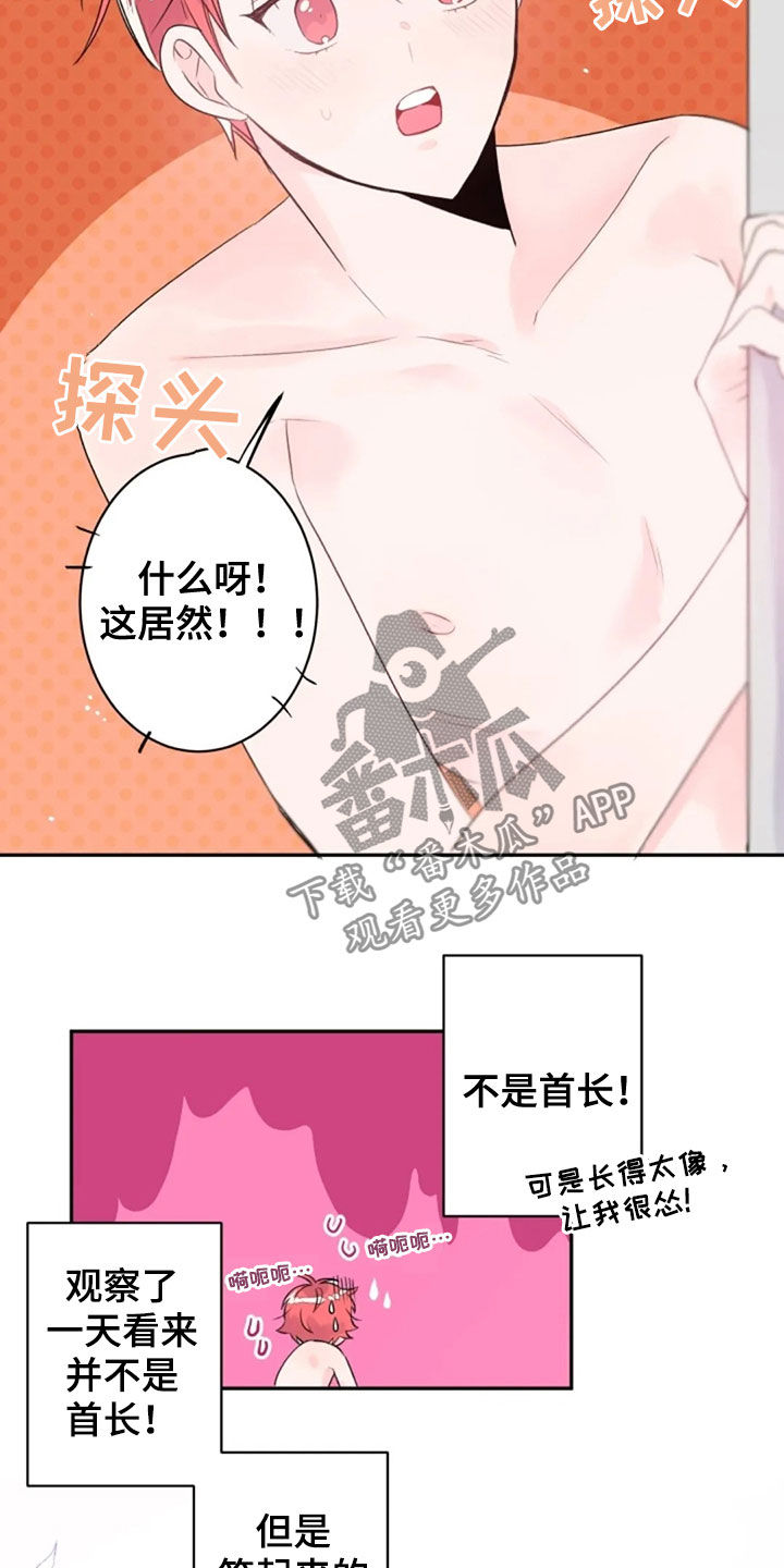 《等待夜晚》漫画最新章节第36章：长得像的人免费下拉式在线观看章节第【10】张图片