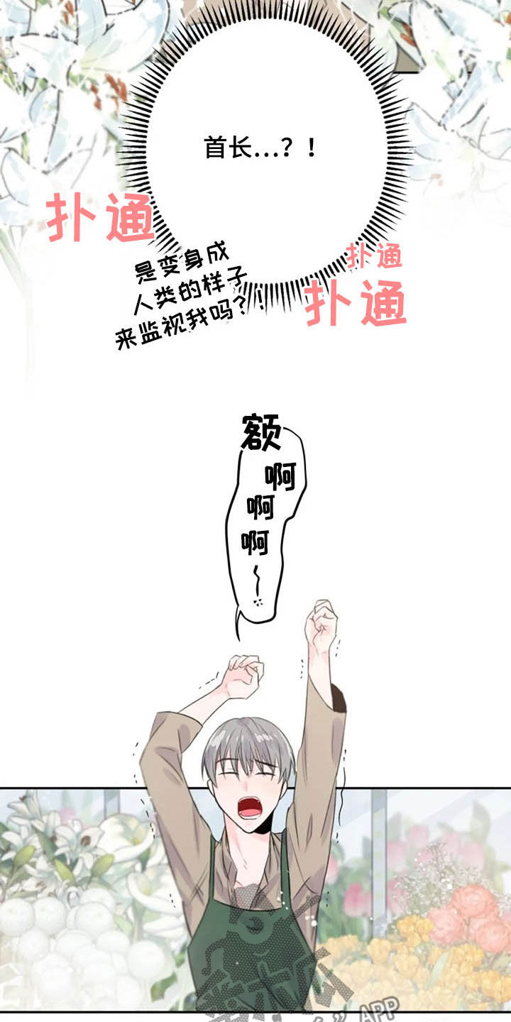 《等待夜晚》漫画最新章节第36章：长得像的人免费下拉式在线观看章节第【13】张图片