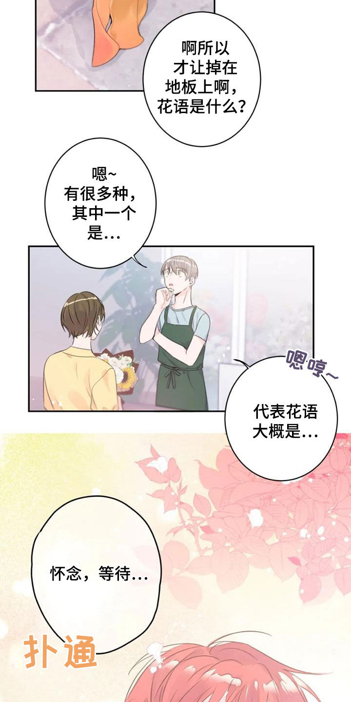 《等待夜晚》漫画最新章节第45章：花语免费下拉式在线观看章节第【10】张图片