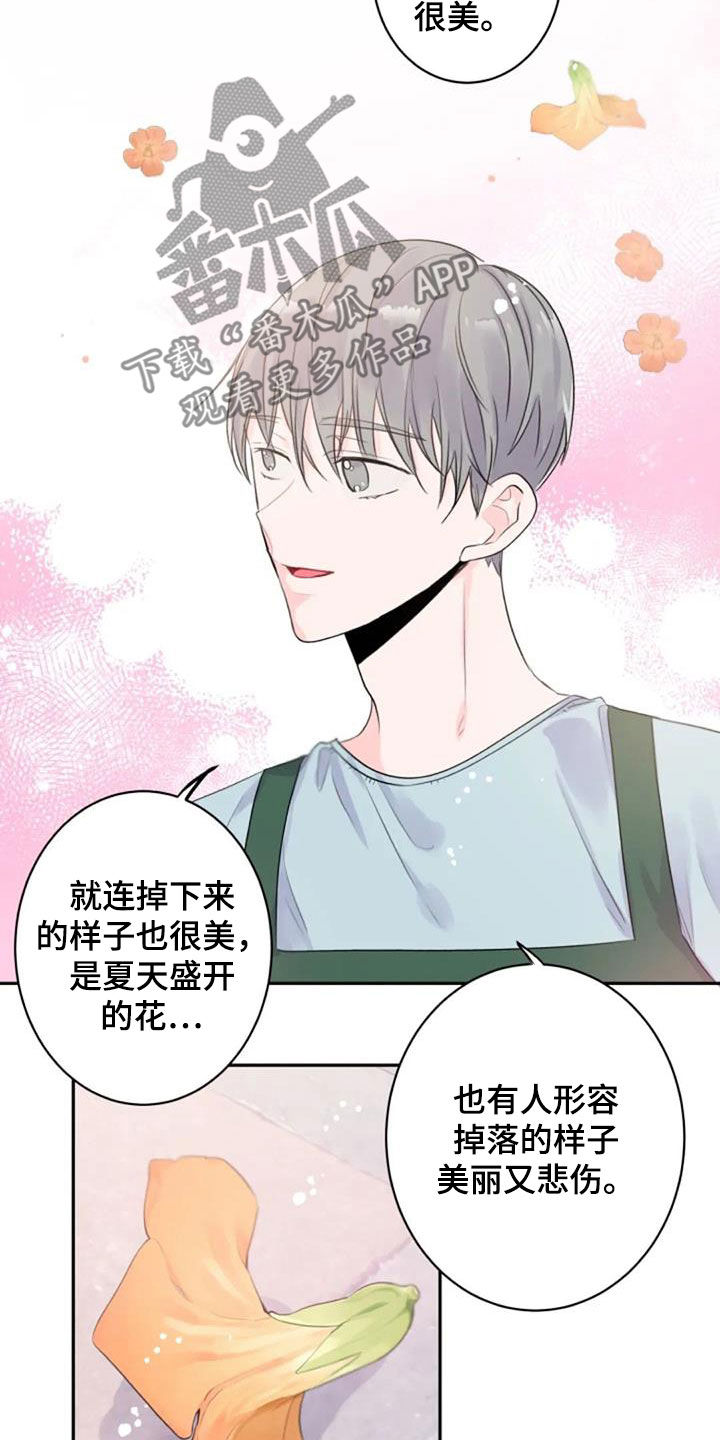 《等待夜晚》漫画最新章节第45章：花语免费下拉式在线观看章节第【11】张图片