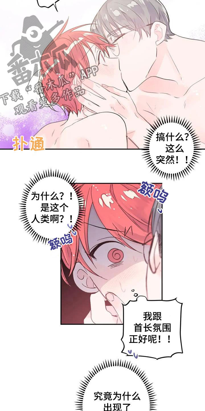 《等待夜晚》漫画最新章节第45章：花语免费下拉式在线观看章节第【14】张图片