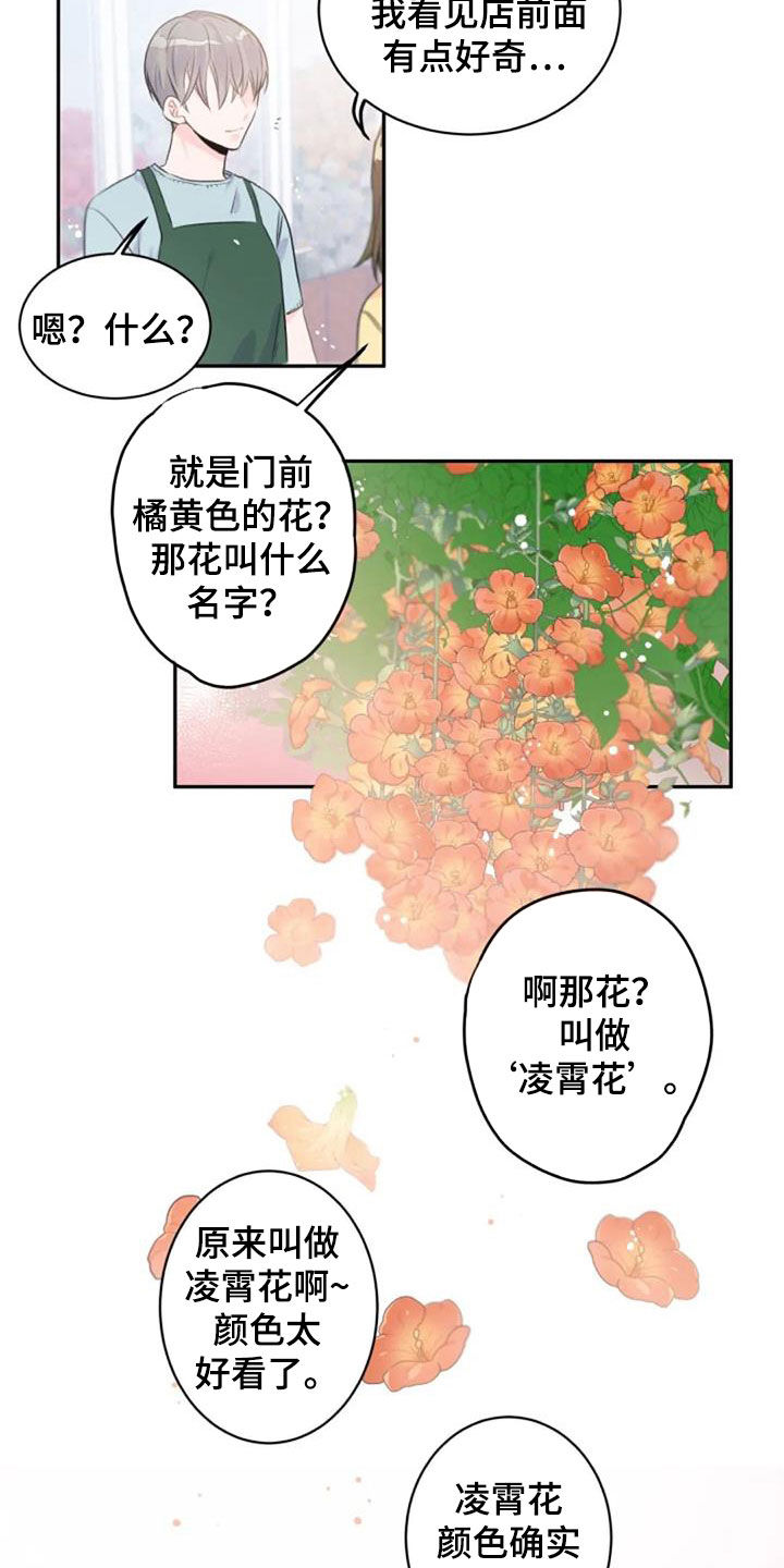 《等待夜晚》漫画最新章节第45章：花语免费下拉式在线观看章节第【12】张图片