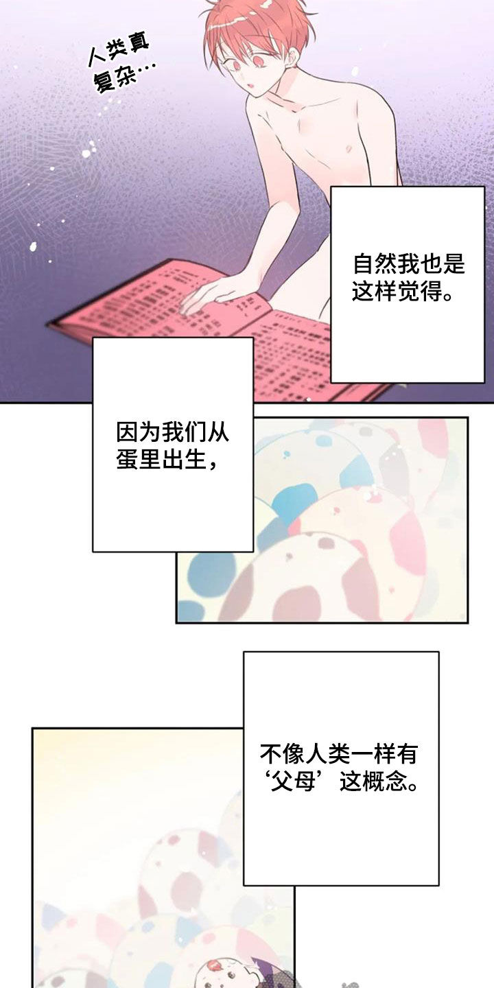 《等待夜晚》漫画最新章节第51章：你幸福就好免费下拉式在线观看章节第【17】张图片