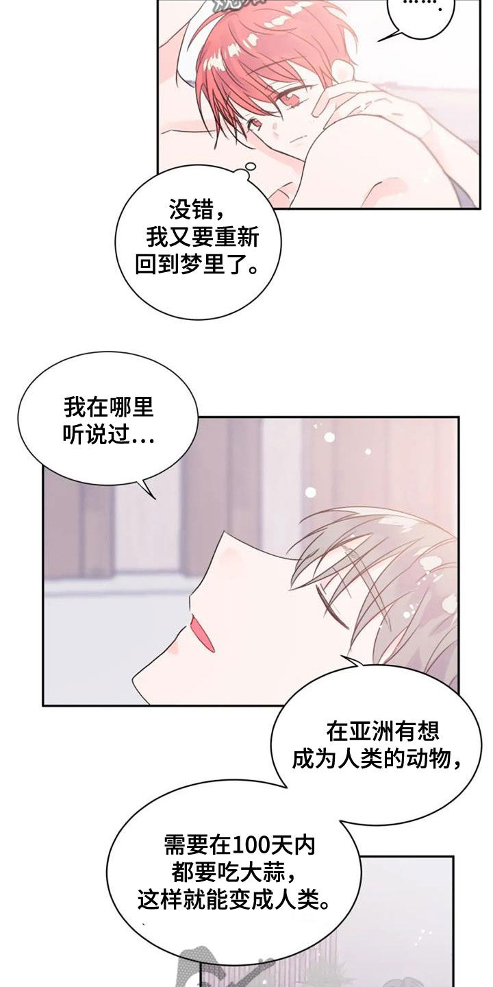 《等待夜晚》漫画最新章节第54章：人类免费下拉式在线观看章节第【4】张图片