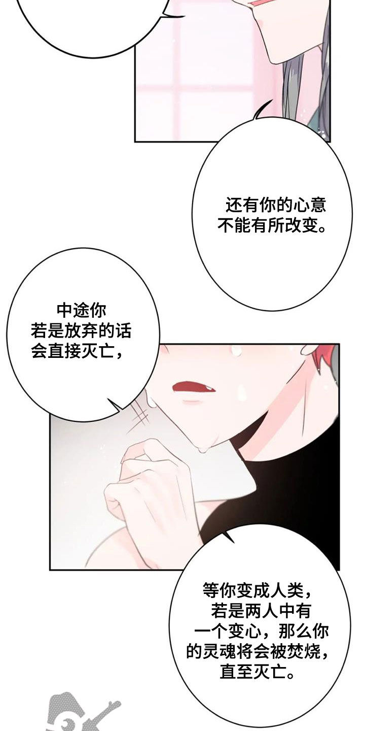 《等待夜晚》漫画最新章节第56章：度过100天免费下拉式在线观看章节第【12】张图片