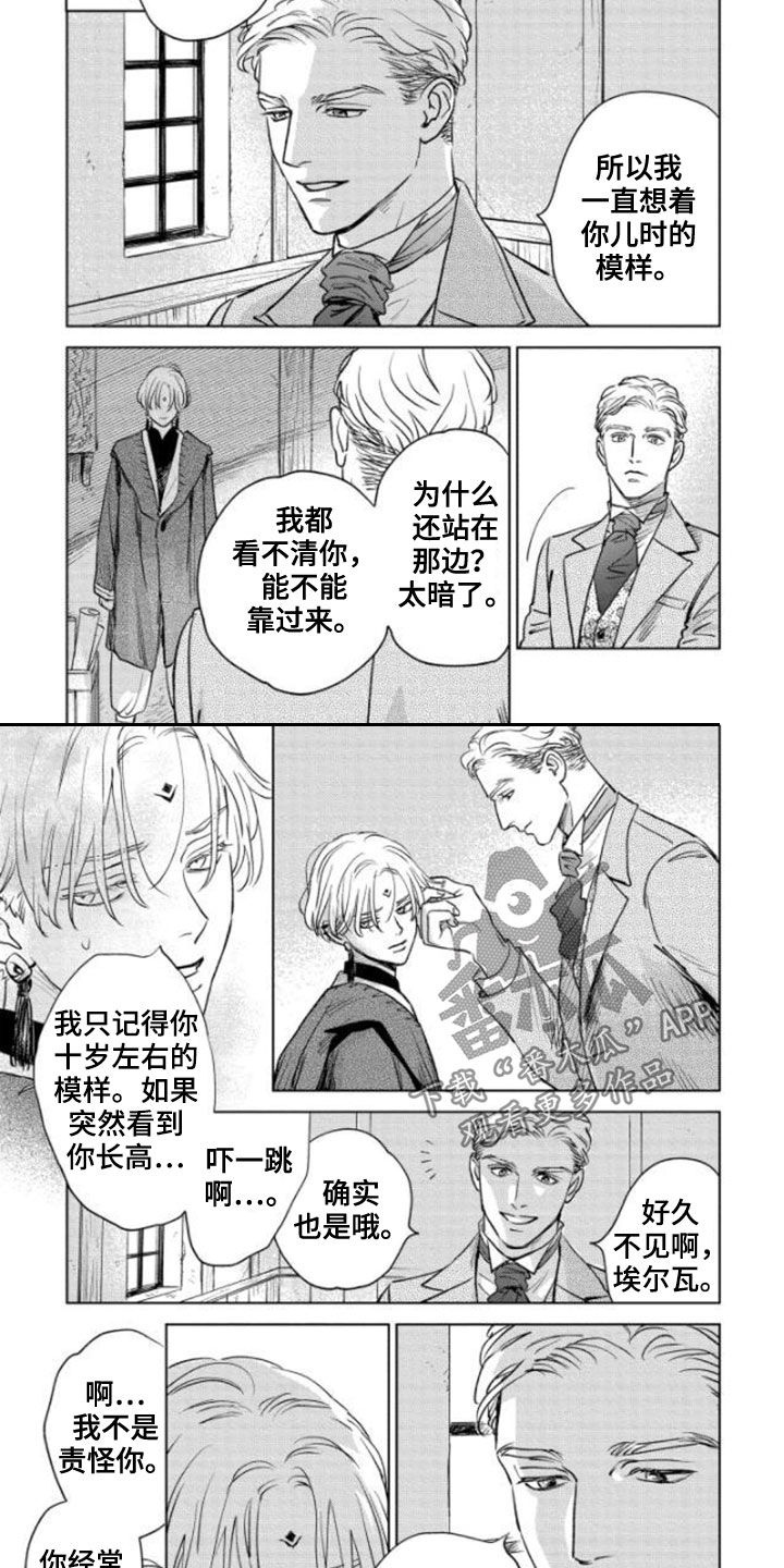 《晨曦之歌》漫画最新章节第42章：不老神话免费下拉式在线观看章节第【2】张图片