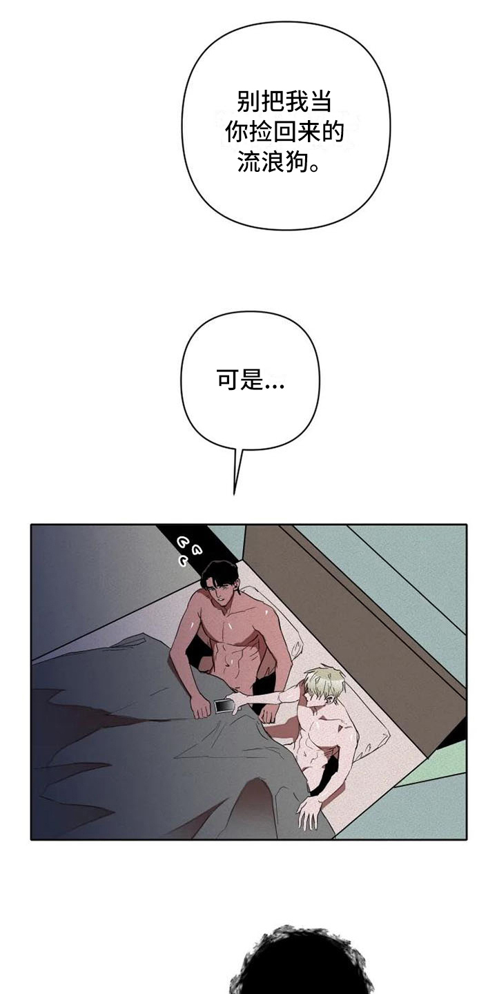 《甜蜜杀戮》漫画最新章节第17章：汇报免费下拉式在线观看章节第【12】张图片