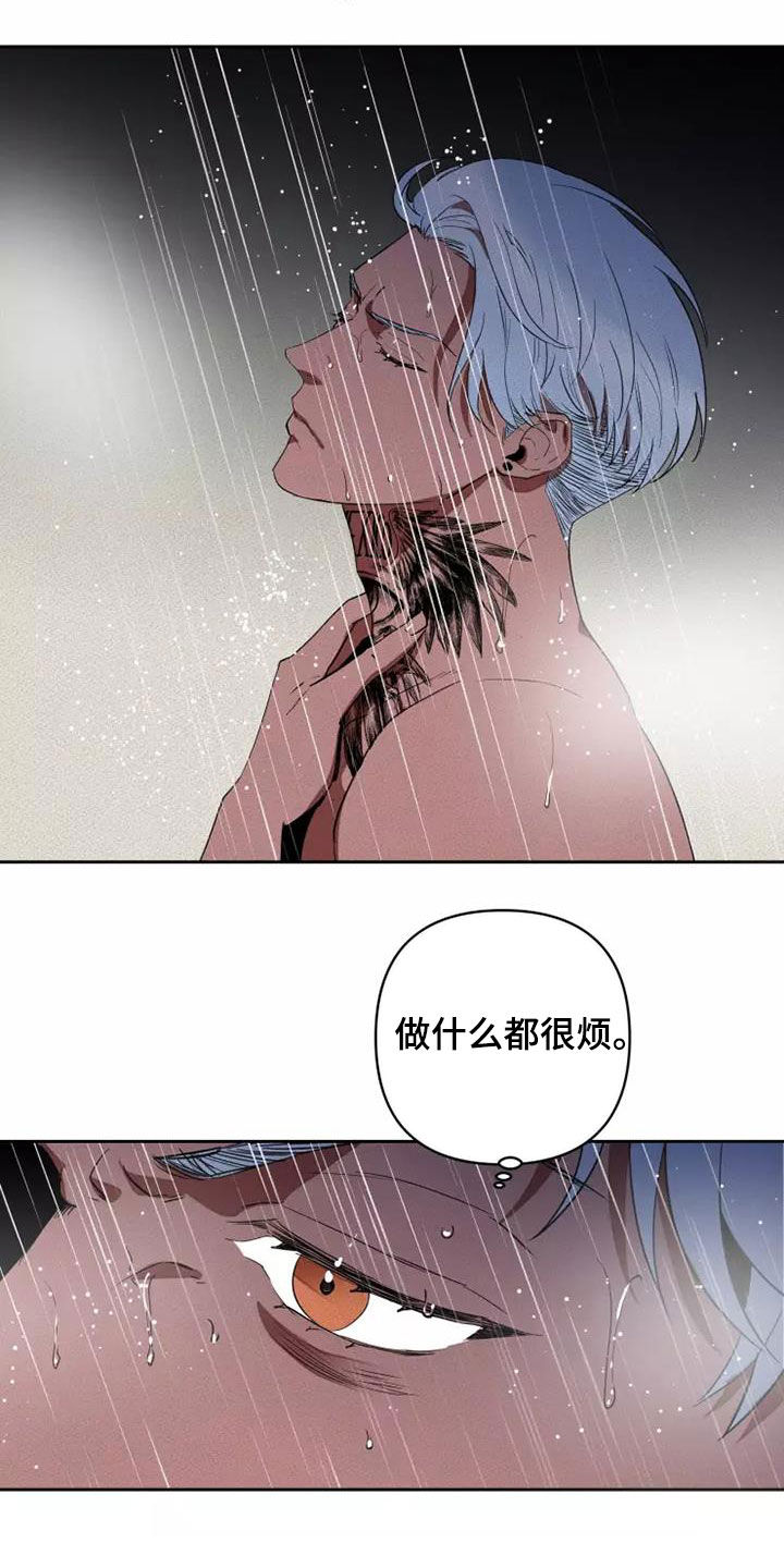 《甜蜜杀戮》漫画最新章节第42章：分成两份免费下拉式在线观看章节第【20】张图片