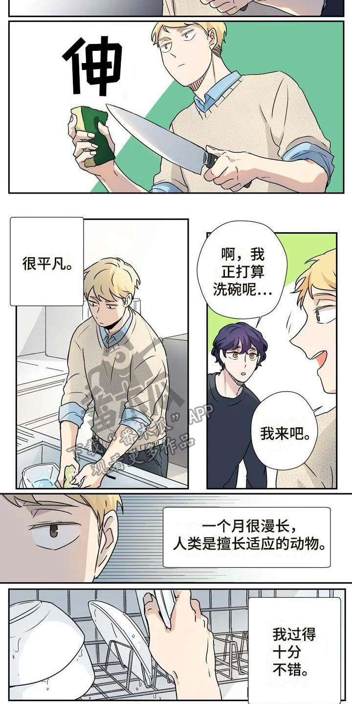 《杀手室友》漫画最新章节第13章：混淆免费下拉式在线观看章节第【4】张图片