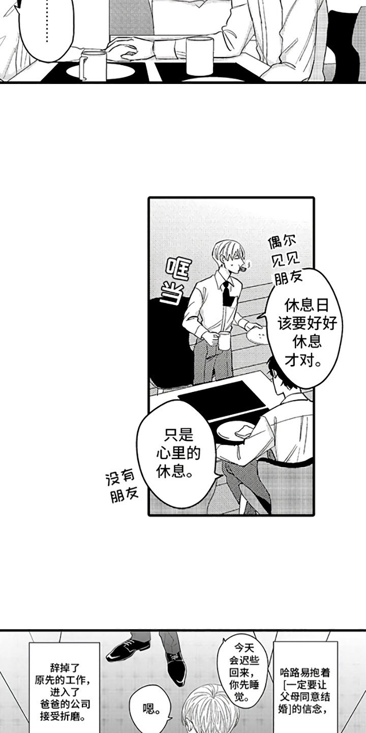 《婚姻协奏曲》漫画最新章节第1章：恋人与家庭免费下拉式在线观看章节第【12】张图片