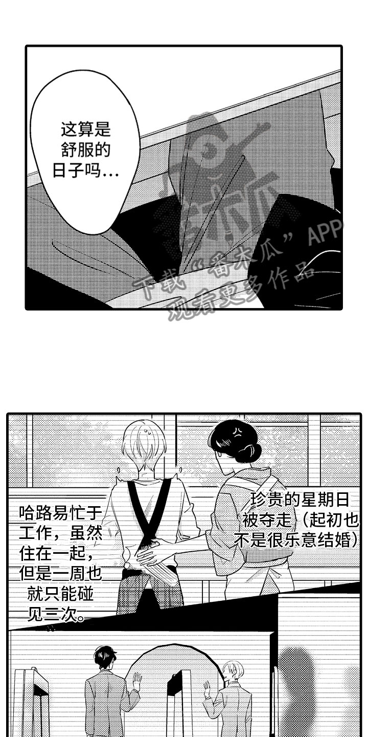 《婚姻协奏曲》漫画最新章节第5章：久违的重逢免费下拉式在线观看章节第【17】张图片