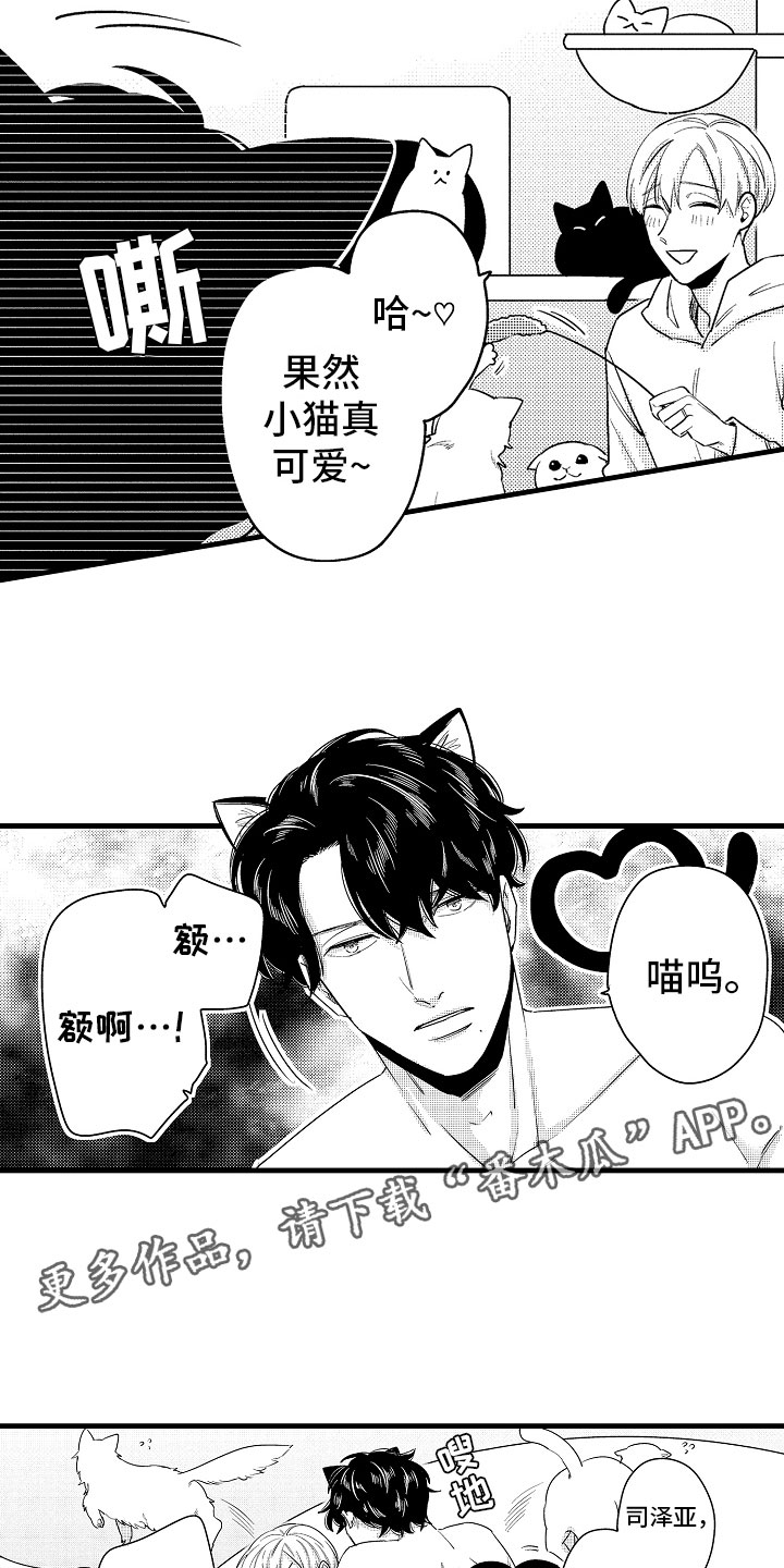 《婚姻协奏曲》漫画最新章节第15章：比那更重要免费下拉式在线观看章节第【13】张图片