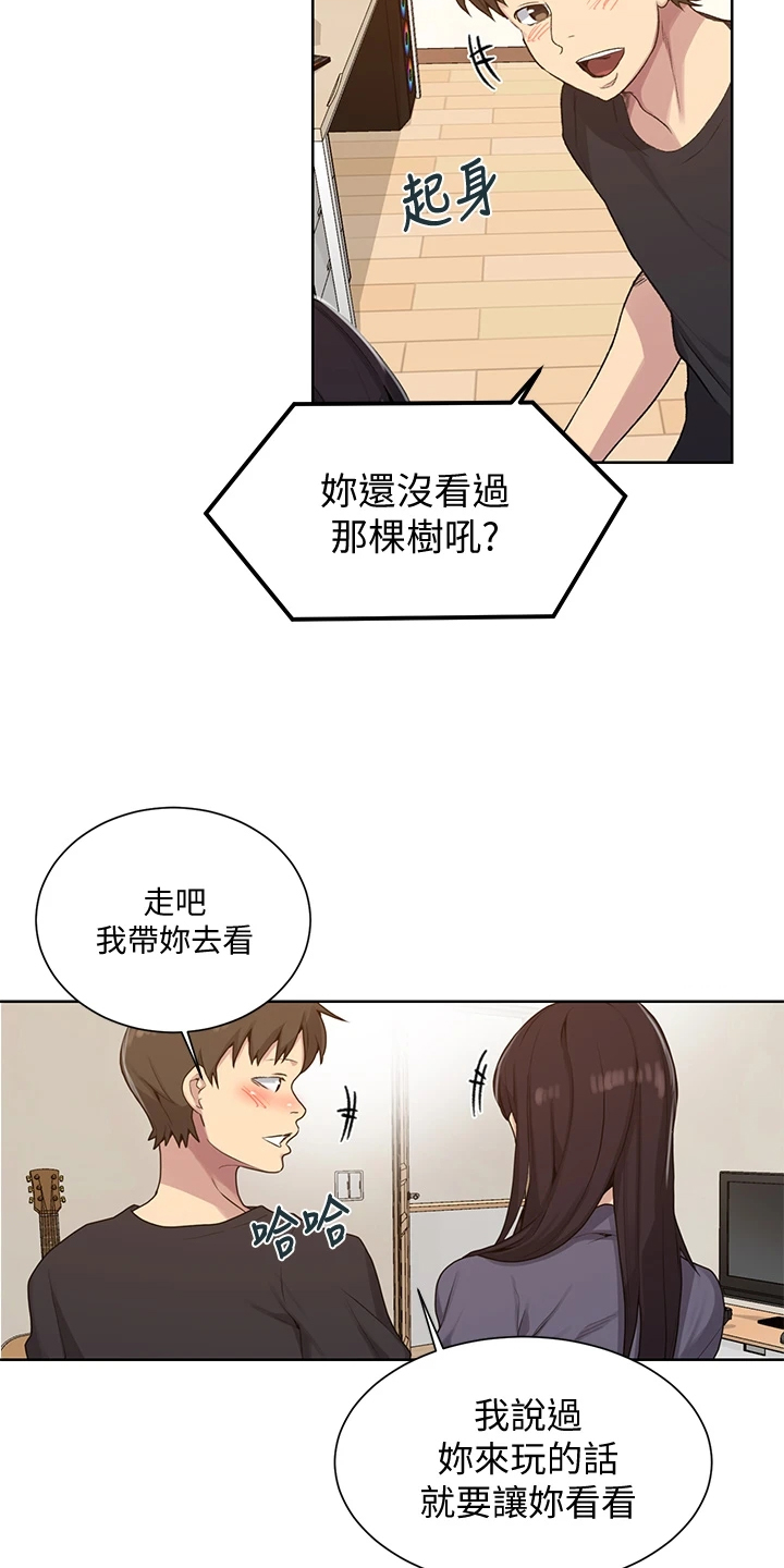 《独立教学》漫画最新章节第163章：看树免费下拉式在线观看章节第【18】张图片