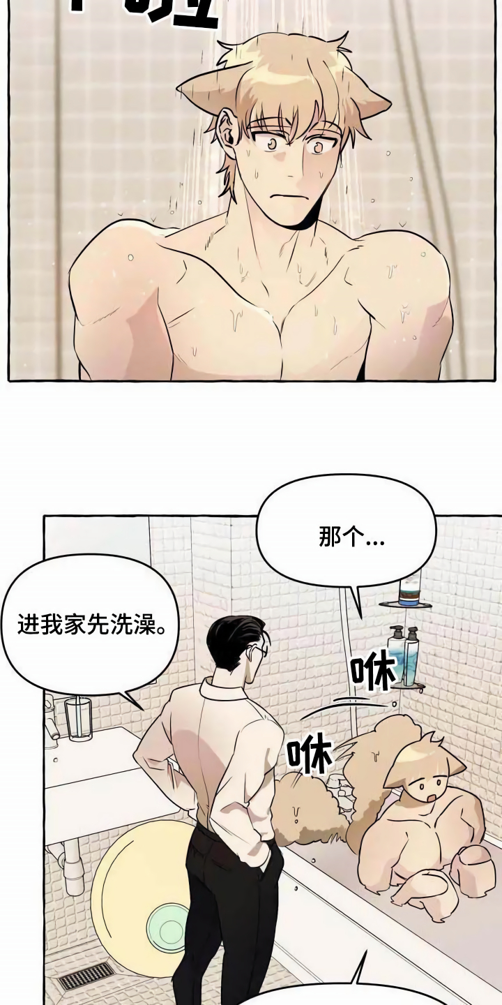 《忠犬三三》漫画最新章节第2章：可怜免费下拉式在线观看章节第【12】张图片