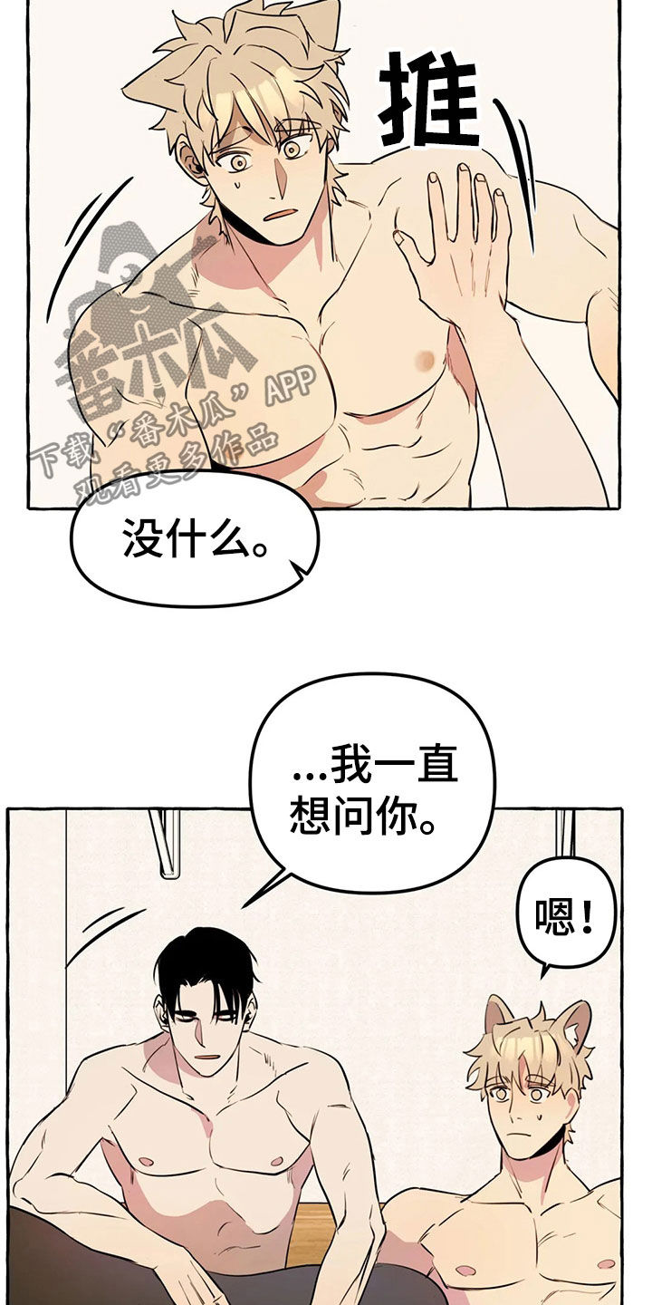 《忠犬三三》漫画最新章节第19章：新衣服免费下拉式在线观看章节第【13】张图片