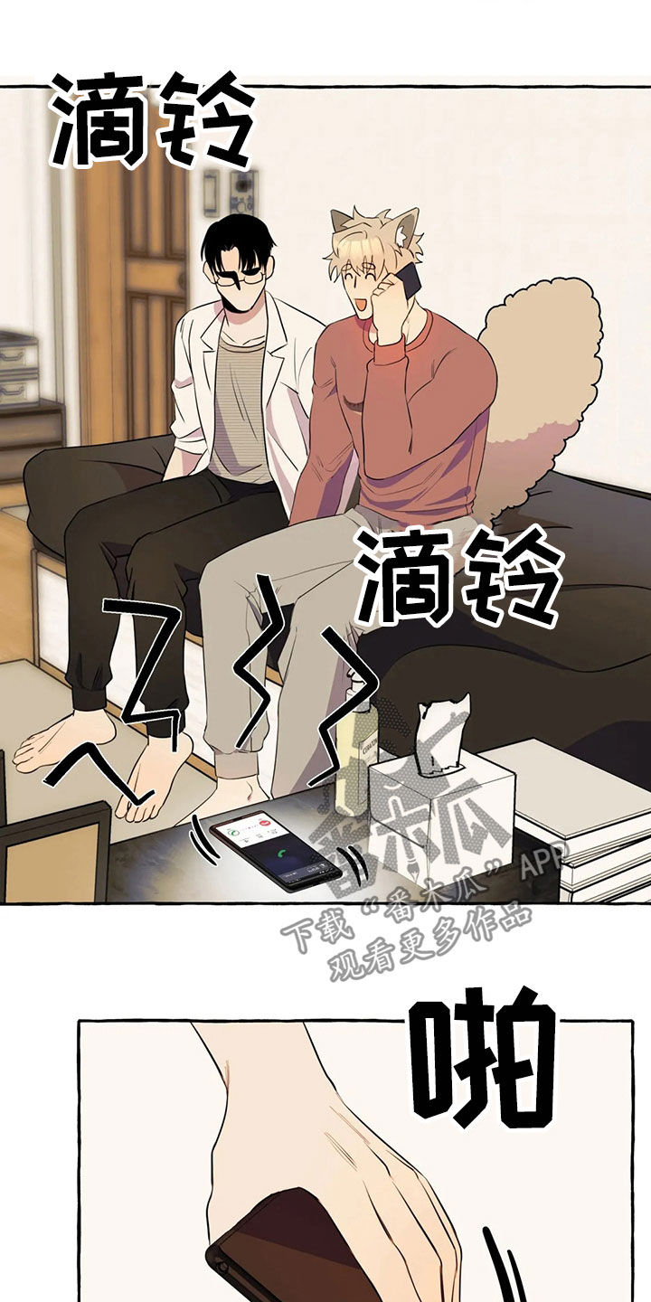 《忠犬三三》漫画最新章节第20章：手机免费下拉式在线观看章节第【8】张图片