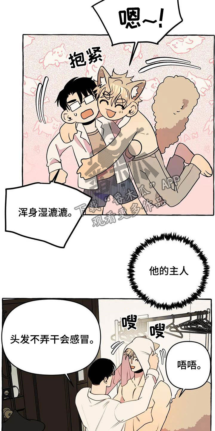 《忠犬三三》漫画最新章节第25章：约见免费下拉式在线观看章节第【7】张图片