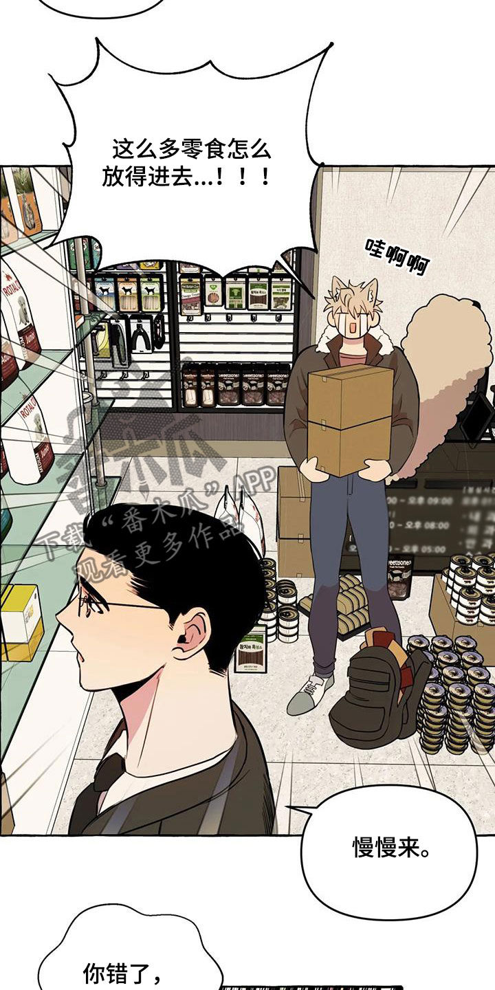 《忠犬三三》漫画最新章节第27章：最后一天免费下拉式在线观看章节第【12】张图片